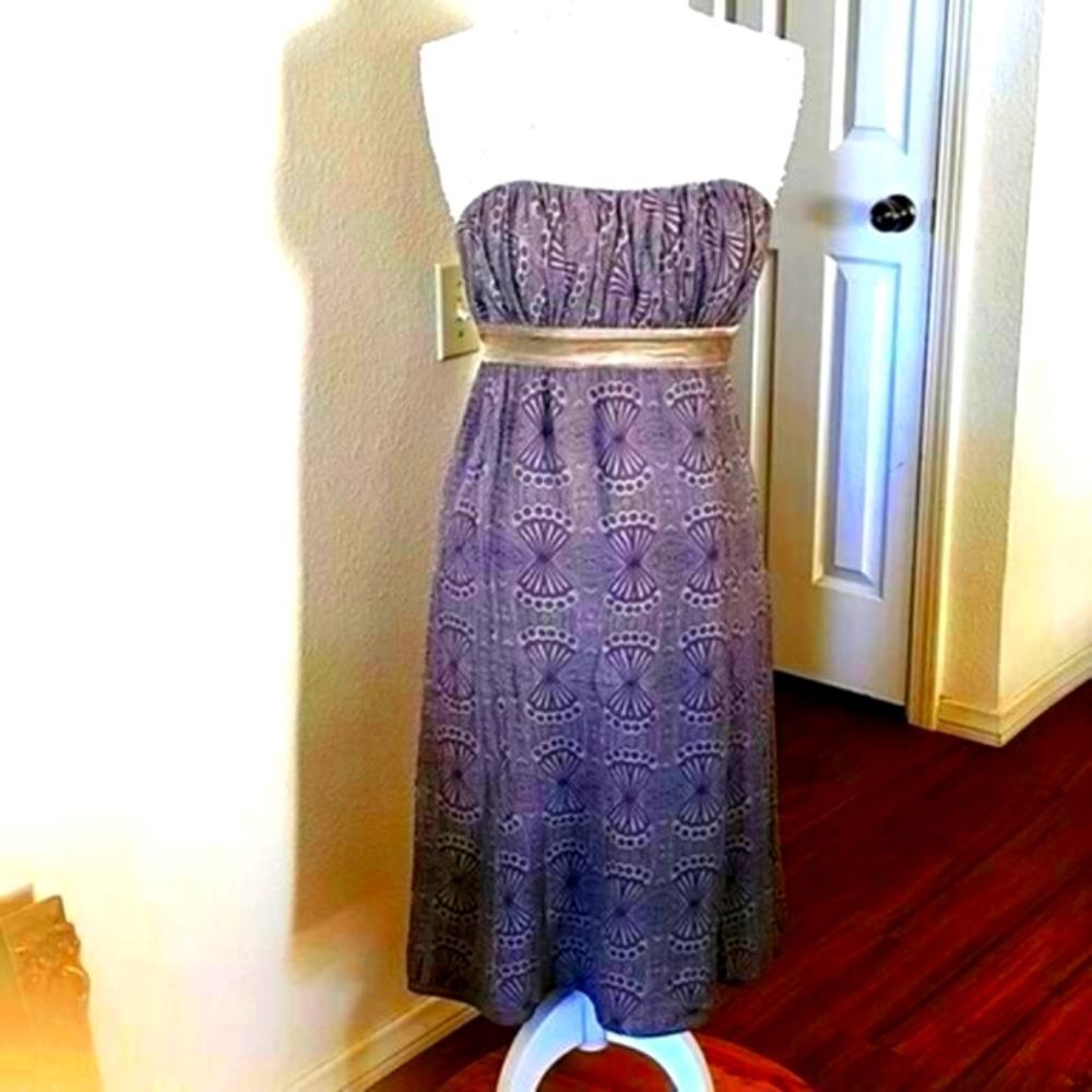 Ted Baker 100% Silk Strapless Dress Ruched Empire Waist Size 3 Boho Chic Retro